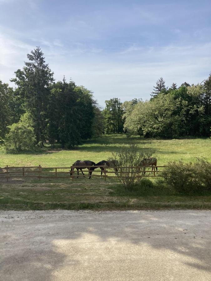 Chateau Tout Y Fault Loriges Eksteriør billede
